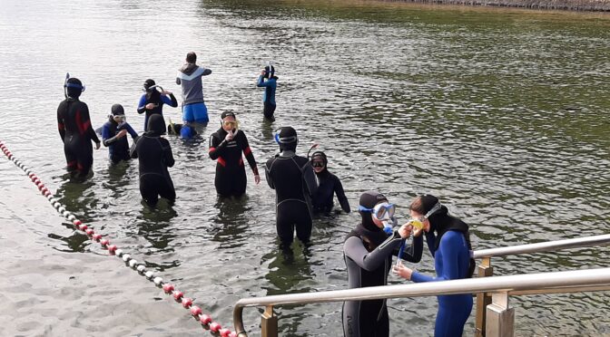 Snorkeling.City – die Humboldt-Schule taucht ab