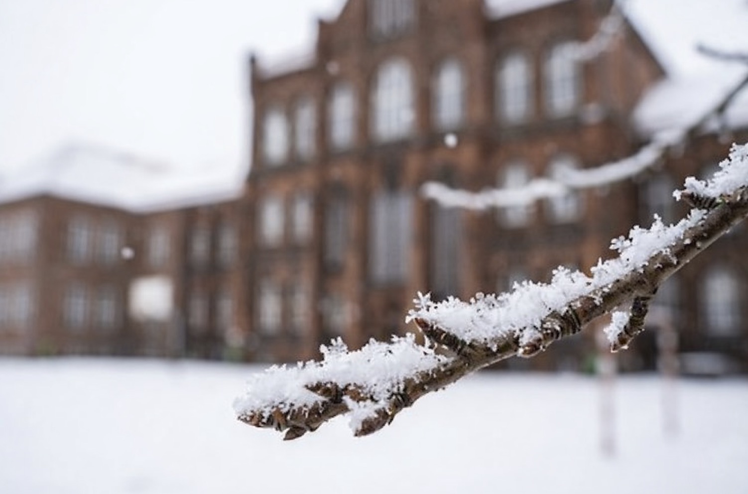 Schulbetrieb am Fr, 9. Januar